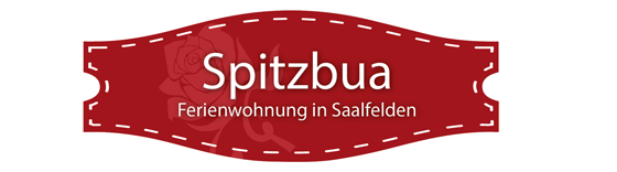 Ferienwohnung in Saalfelden