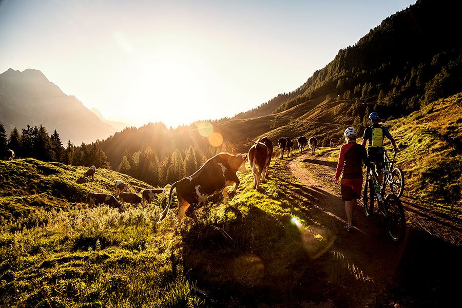 sommerurlaub-leogang017